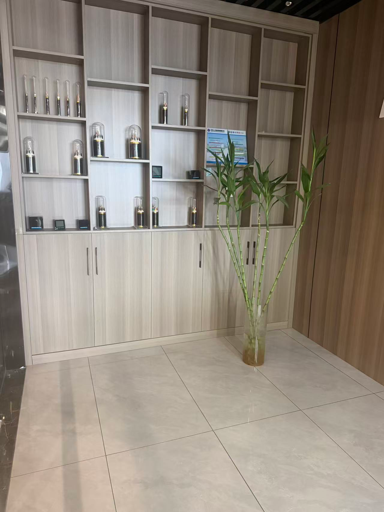 公司展示柜与陈列区，木色展柜陈列产品样品，旁置绿植